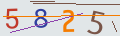verifycode